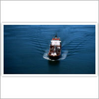 Ocean Freight Services