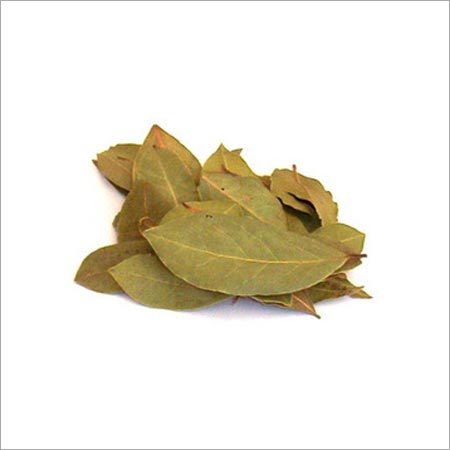 TEJ PATTA BOTANICAL NAME-BAY LEAF