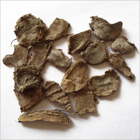 KAPOOR KACHRI (BOTANICAL NAME-HEDYCHIUM SPICATUM)