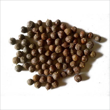 HAUBER (BOTANICAL NAME-JUNIPER BERRY)