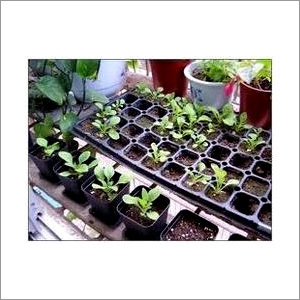 Industrial Tool Trays