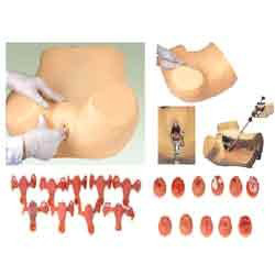 Gynecological Examination Model ( BEP/F30S )