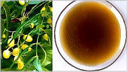 Neem Oil