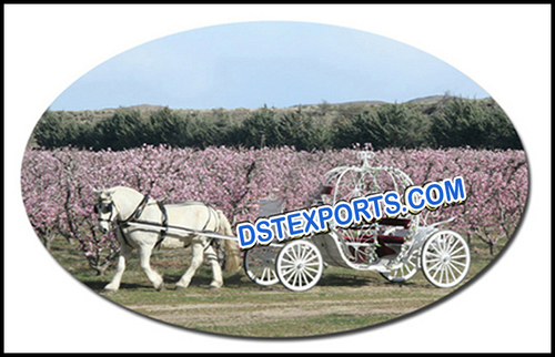 Spring Field Cinderala Carriage