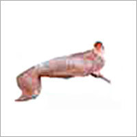 Rabbit Meat