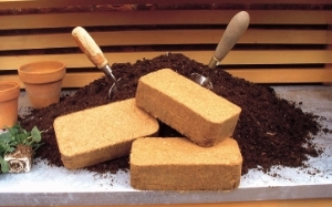 Coco Briquettes
