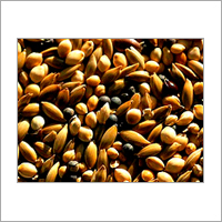 Fertilizer - Organic & Biofertilizer Powder & Liquid, Nutrient-Rich Diverse Composition, Soil Application, Growth Boost, Sustainable Farming