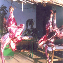 Emu Meats