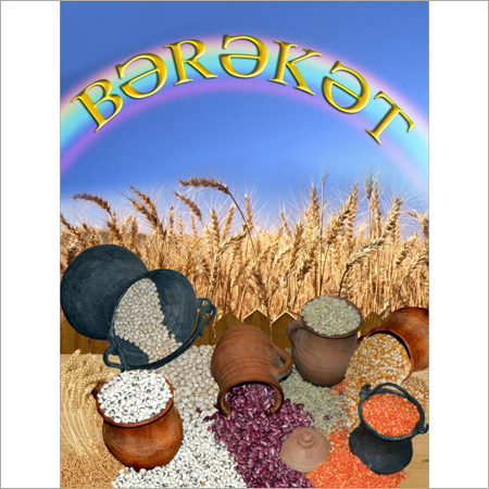 BOPP Laminated bags