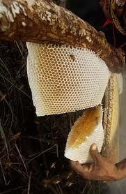 Unifloral Honey