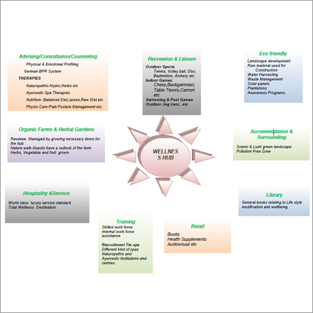 Wellness Hub