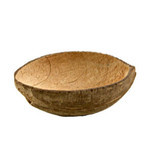 Coconut Shell Bird Feeder