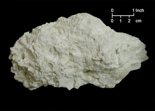 Limestone