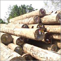 Kawila Logs