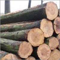 Malaysian Hardwood Logs