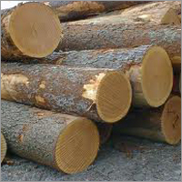 Tali Logs - Mixed Hardwood Wood 10-30cm Diameter, 2-6m Length | Natural, Sustainable, Durable, Renewable