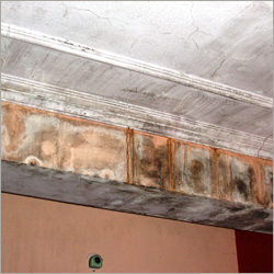 Indoor Wall Waterproofing