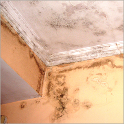 Wall Waterproofing