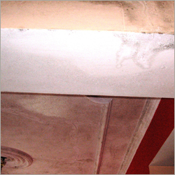 Basement Waterproofing