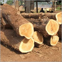Firewood