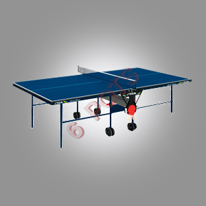 Ping Pong Table