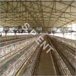 Commercial Layer Cage