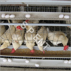 Wire Mesh Poultry Cages