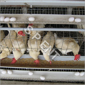 Floor Watering System