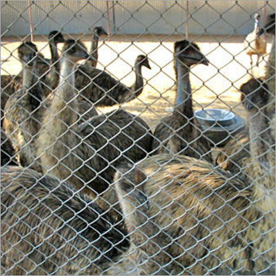 EMU Oil