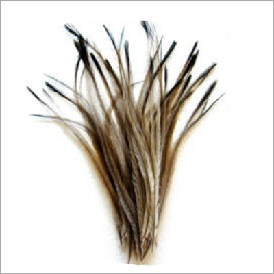 EMU Feathers
