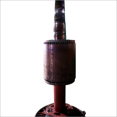 Rotor Rewinding Services