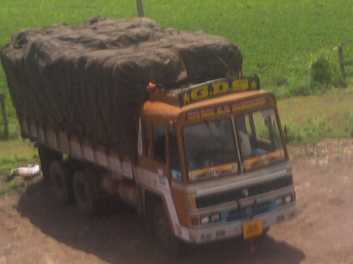 Agricultural Truck Transportation Services