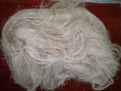 Banana Fiber