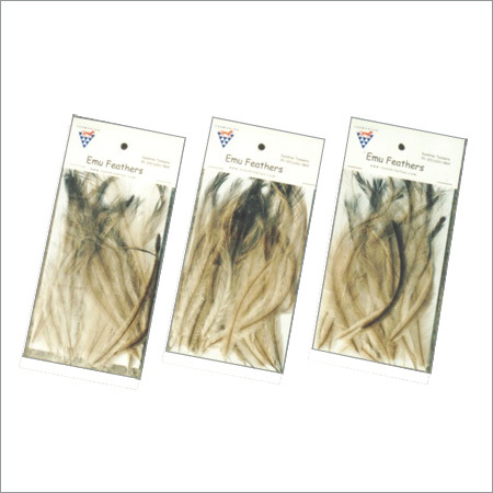 Emu Feathers