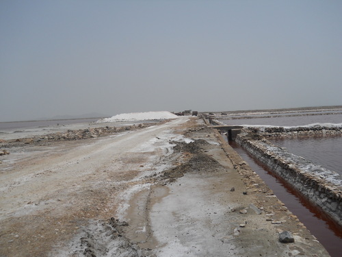 production area