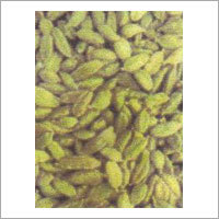 Cardamom (Elaichi)