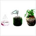 Coir Netted Pellets
