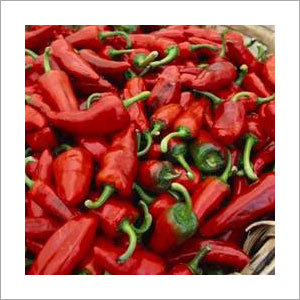 Red Chilli