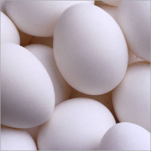 White Chicken Egg