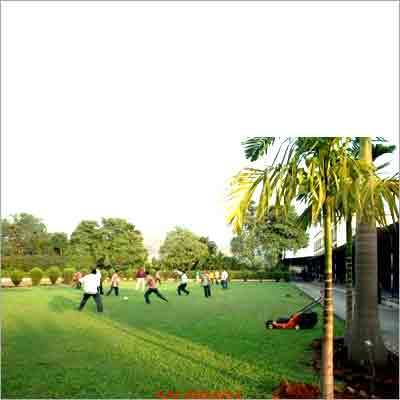 Play Ground Services