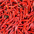 Sannam S4 Red Chilli