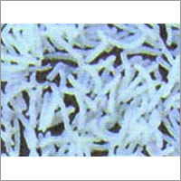 Arometic Basmati Rice