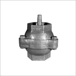 C.I Check Valves