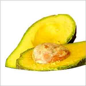 Avocado Fruit