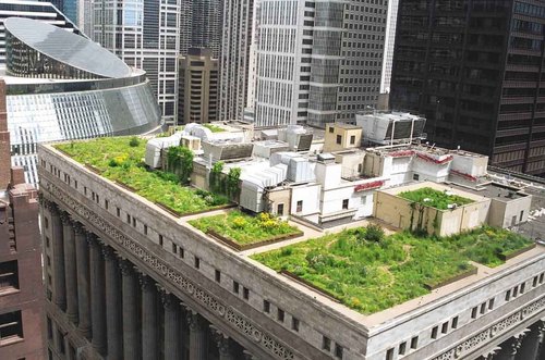 Terrace garden design