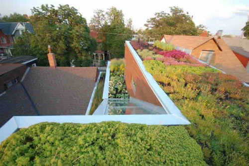 Terrace garden design