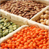 Food Pulses