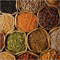 Indian Pulses