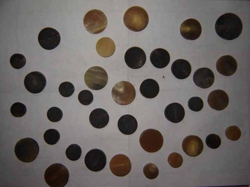 Horn Blank Buttons