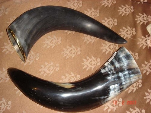 Drinking Horn Whistle